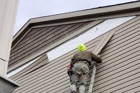 Best Fascia and Soffit Installation  in Wapakoneta, OH